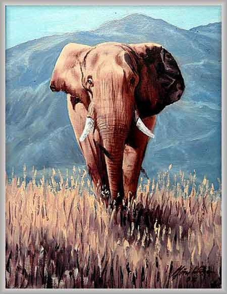 ein Afrikanischer Elefant