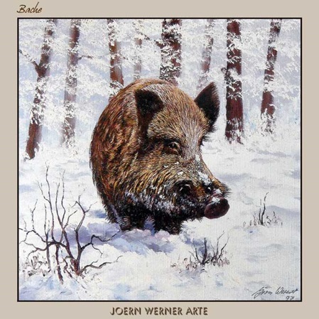 Wildschwein im Schnee