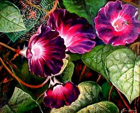 Geranien im Garten